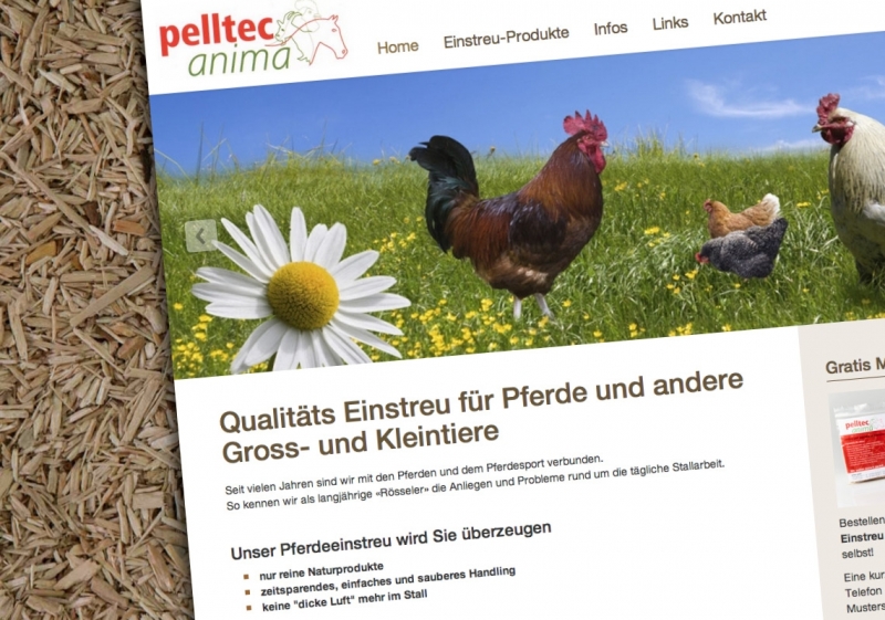 Webdesign und Programmierung für pelltec GmbH
